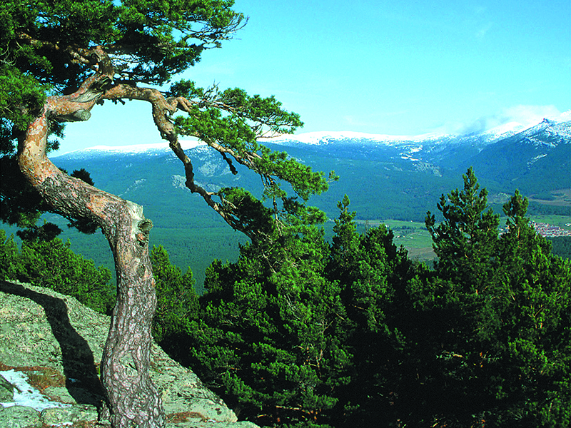 turismo soria portada urbion